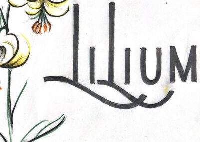 RESTAURANTE LILIUM