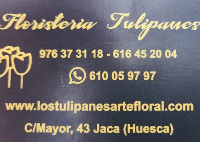 FLORISTERÍA LOS TULIPANES