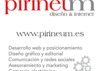 PIRINEUM DISEÑO & INTERNET